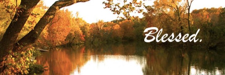 TheMgue's profile banner image