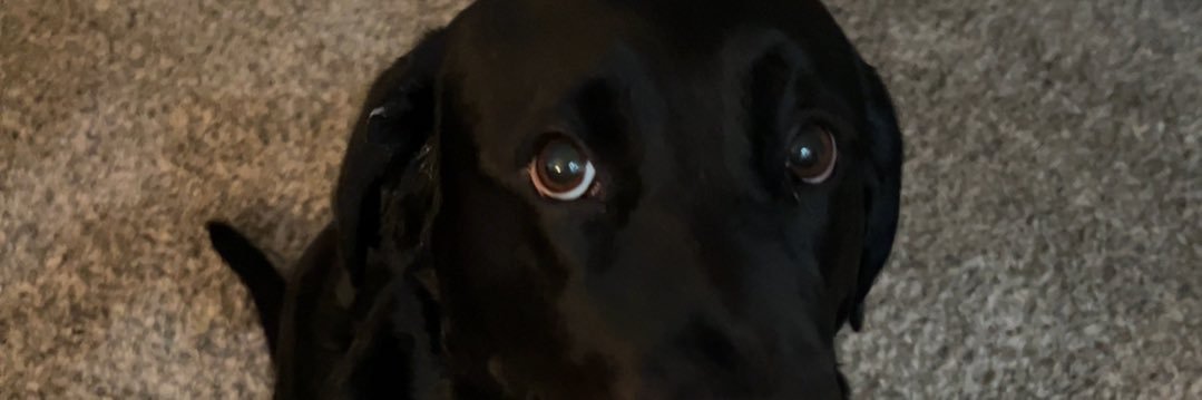 Dezzicastillo's profile banner image