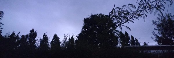 kkmanta Profile Banner