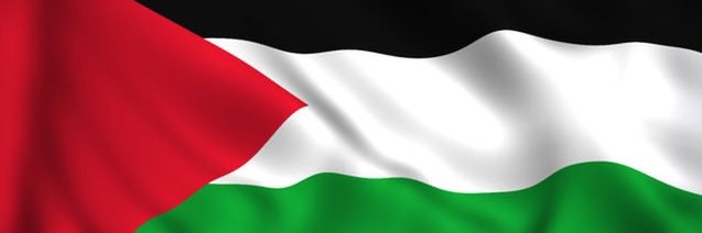 Kibby 📊 🇵🇸 banner