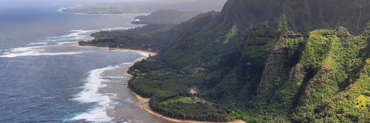 Eric Michielli banner