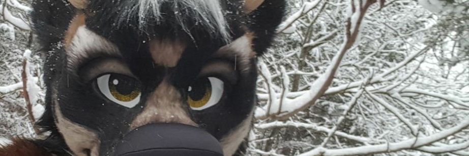 Leo ⭐ banner