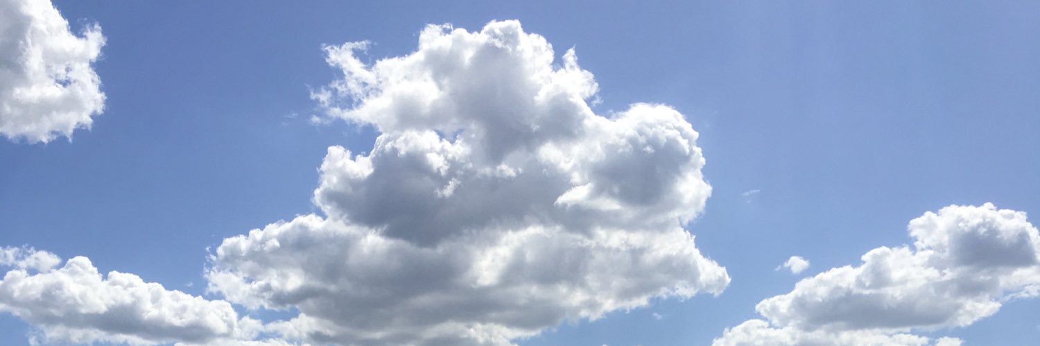 caylarrocca's profile banner image