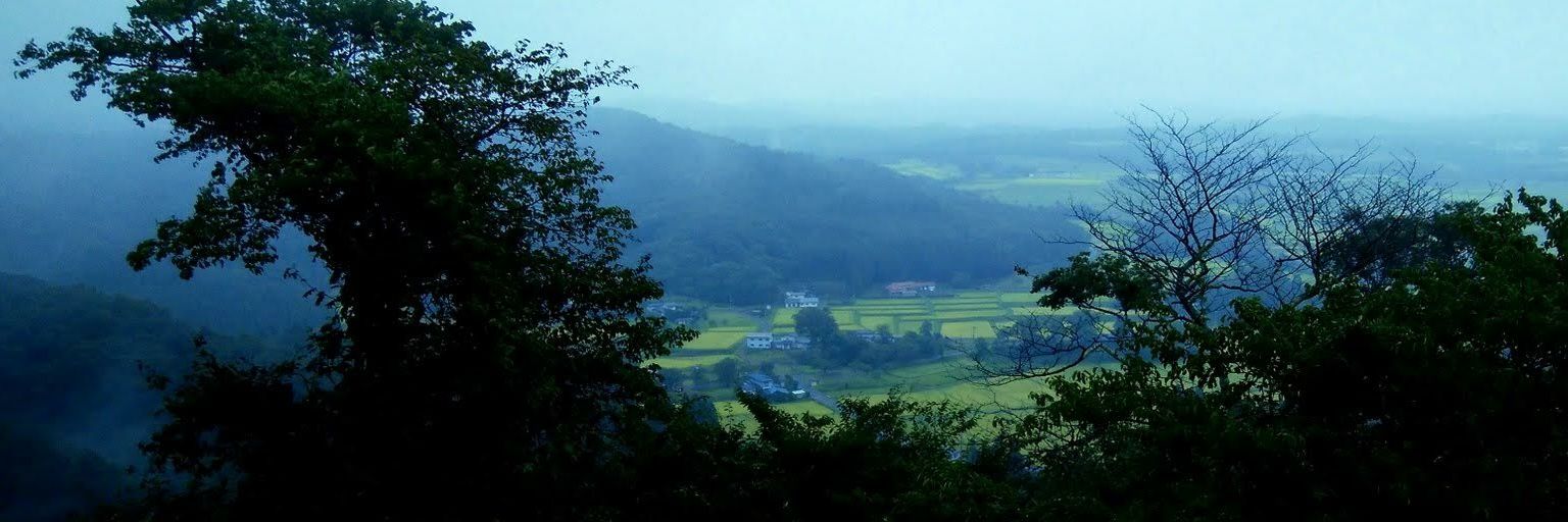 sns2006's profile banner image