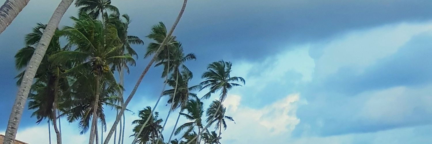 tak293's profile banner image