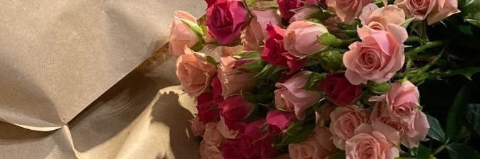 manaaa_l's profile banner image