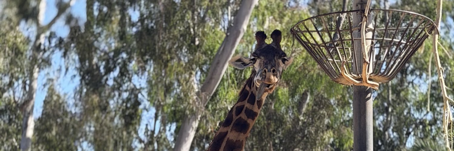 ohhmali's profile banner image