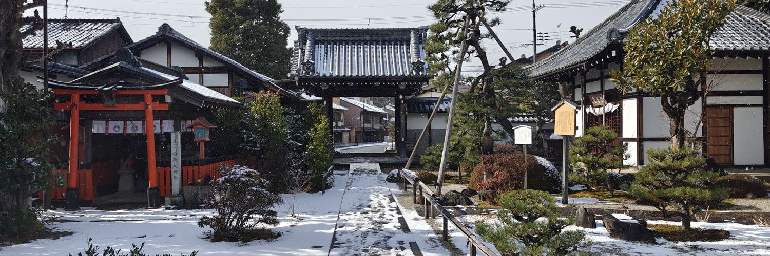 Chris「クリス」🇦🇺 🇺🇦 🇵🇸🐦 banner