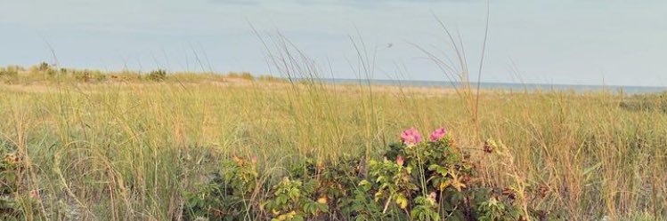 kelbel2347's profile banner image