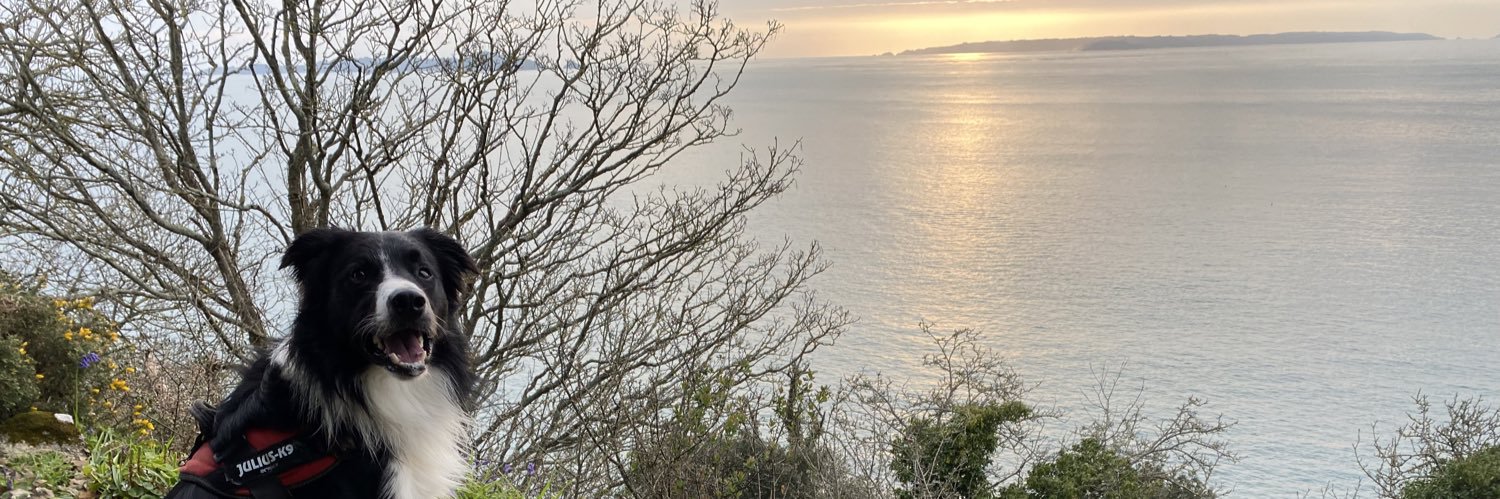 Gemma, Red & Tiggs 🌈 banner