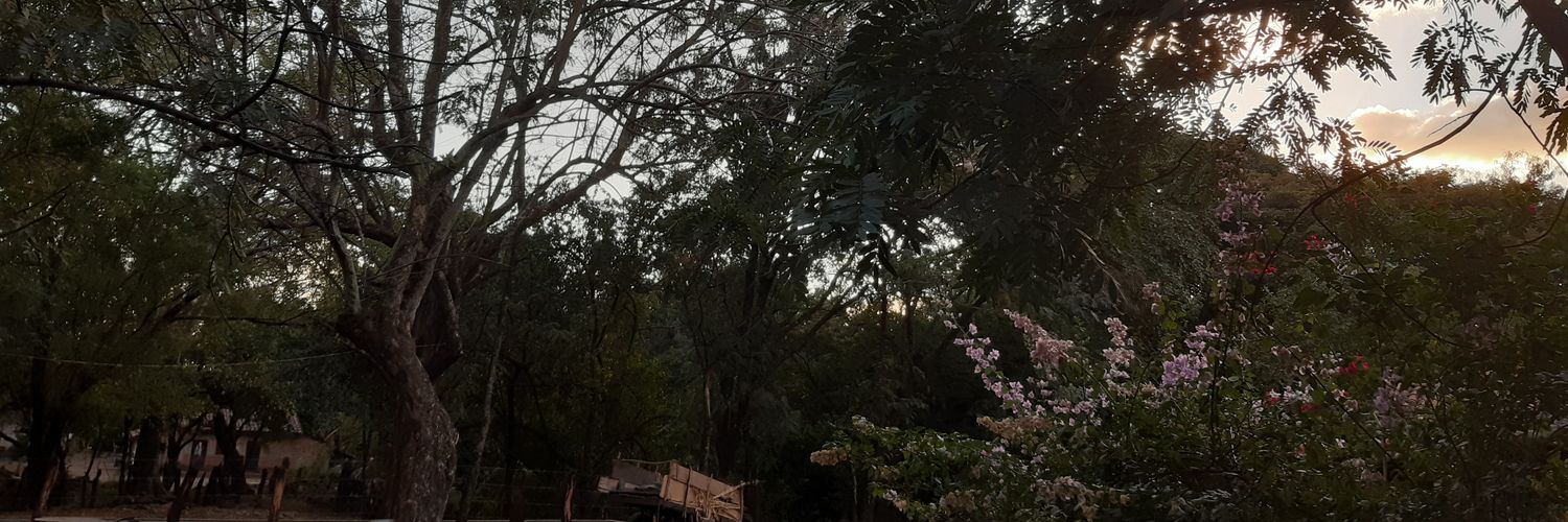 Mabivale's profile banner image