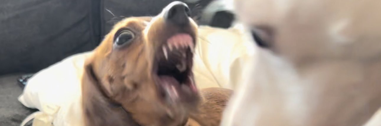 notwonnimit's profile banner image