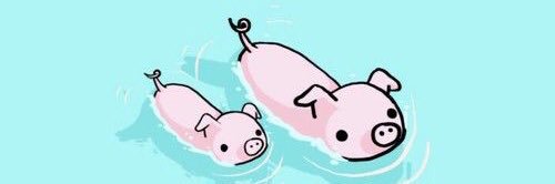wexpiggy 🐷 banner