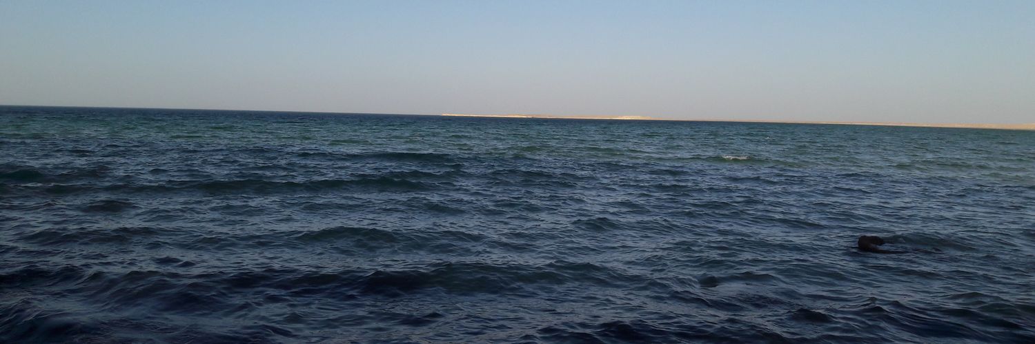 ahsidiah's profile banner image