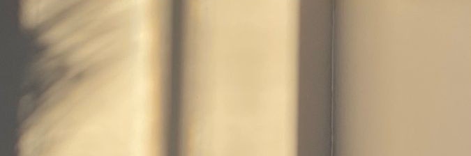 Sofi_Ariaas's profile banner image