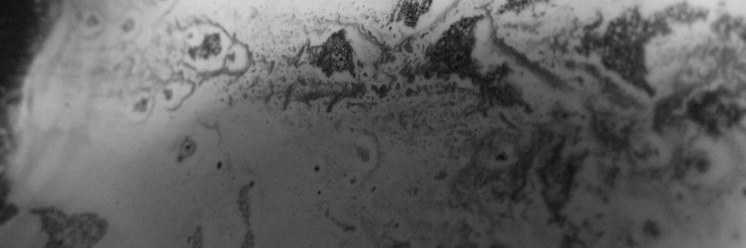 Bethany_Marett's profile banner image