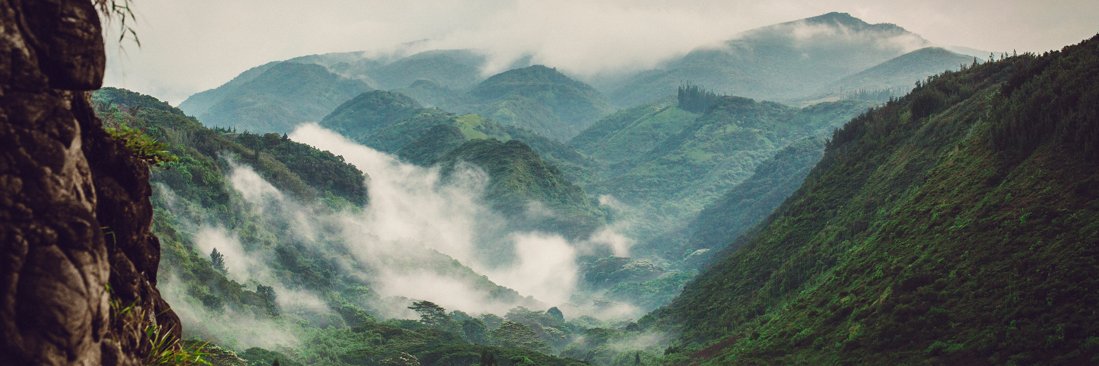GeranisaurusRex's profile banner image
