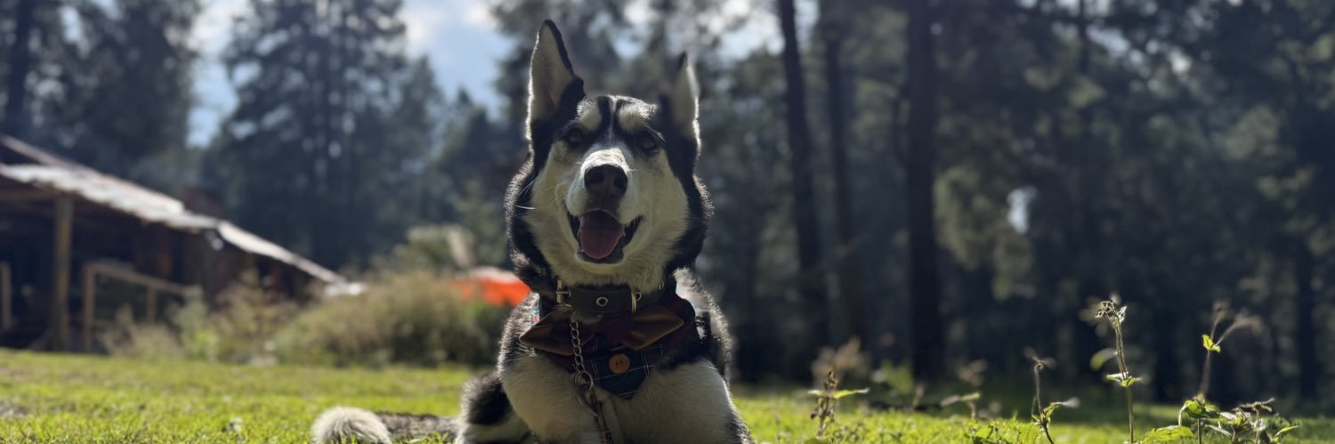 mooonitavega91's profile banner image