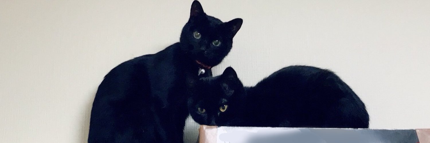 kapurico's profile banner image