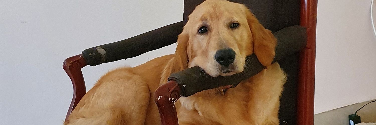 cesarmq56's profile banner image