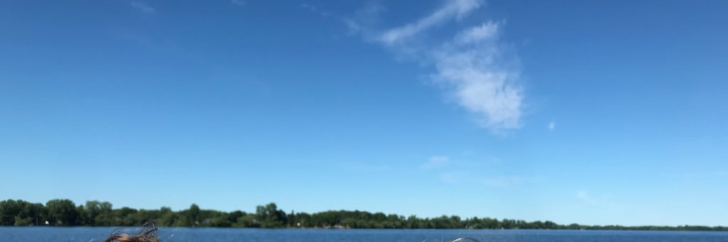 mrholme's profile banner image