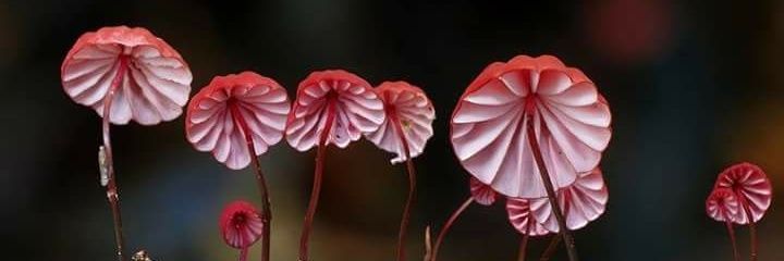 AnaClaraSol3's profile banner image