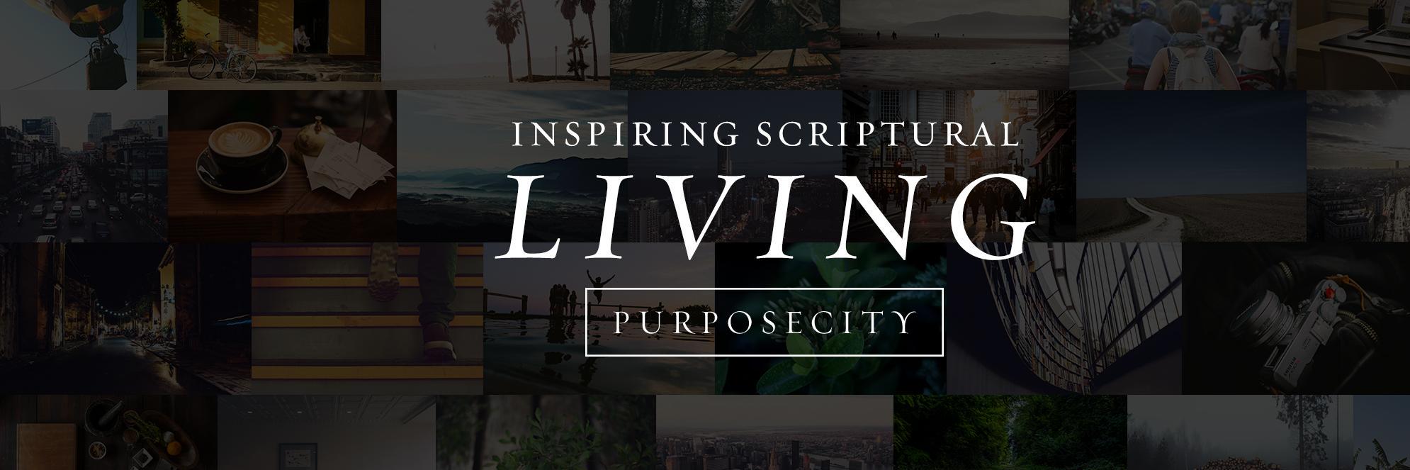 PurposeCity's profile banner image