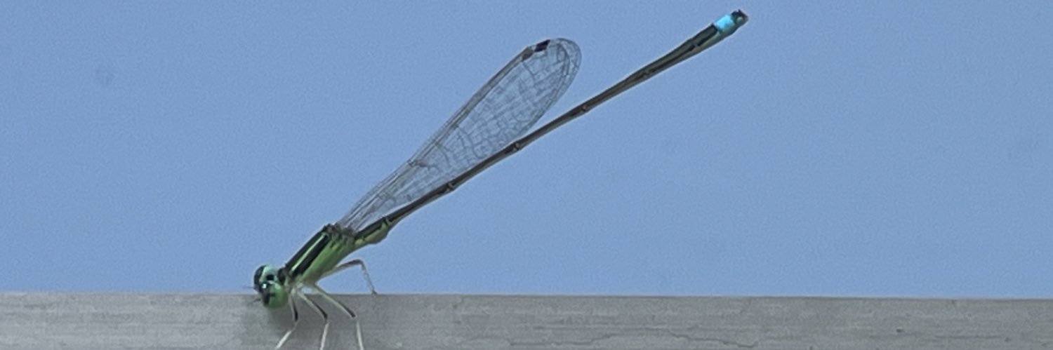 yoocean's profile banner image