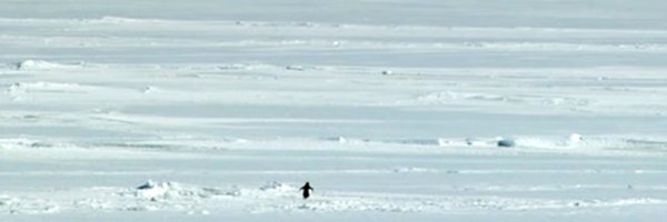 oxReu Profile Banner