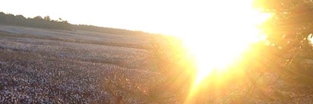 abronson40's profile banner image