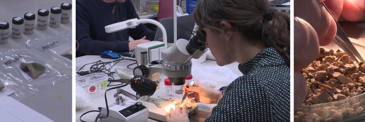 Màster d'Estudis Avançats en Arqueologia banner