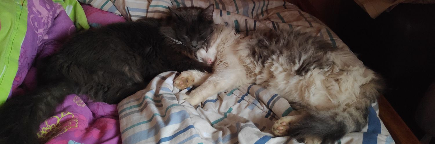 Nicolás Rodríguez banner