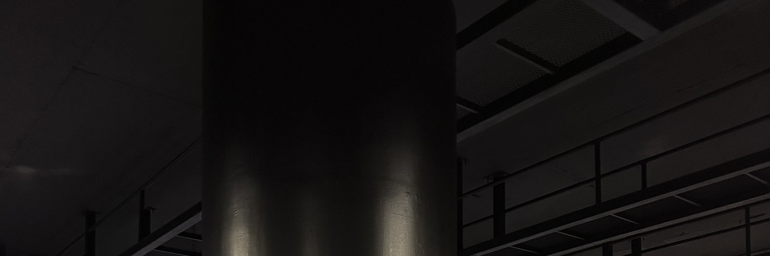chalisabirdy's profile banner image