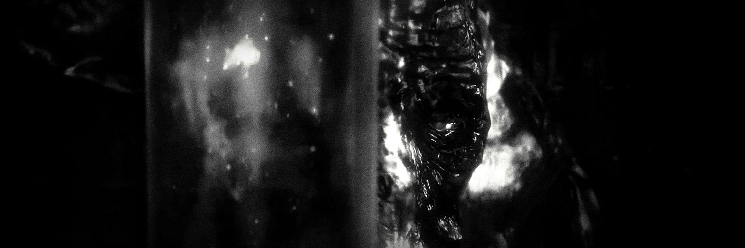 BoiDeBriga's profile banner image