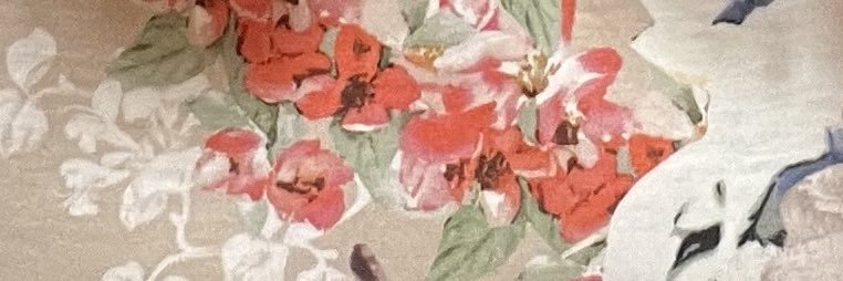 monroecat4's profile banner image