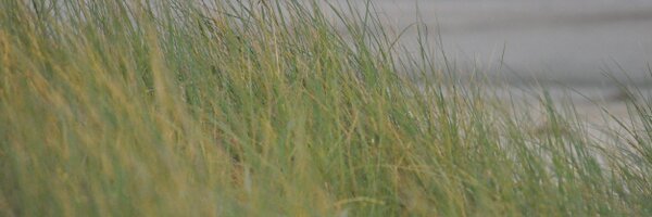 MissSarahHope Profile Banner