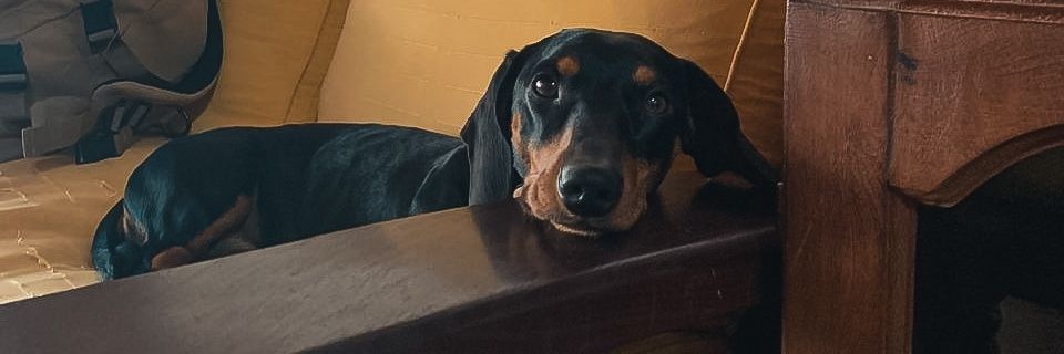 deRabago7's profile banner image
