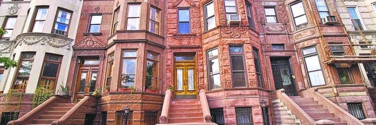 Preserve Our Brooklyn Neighborhoods's banner