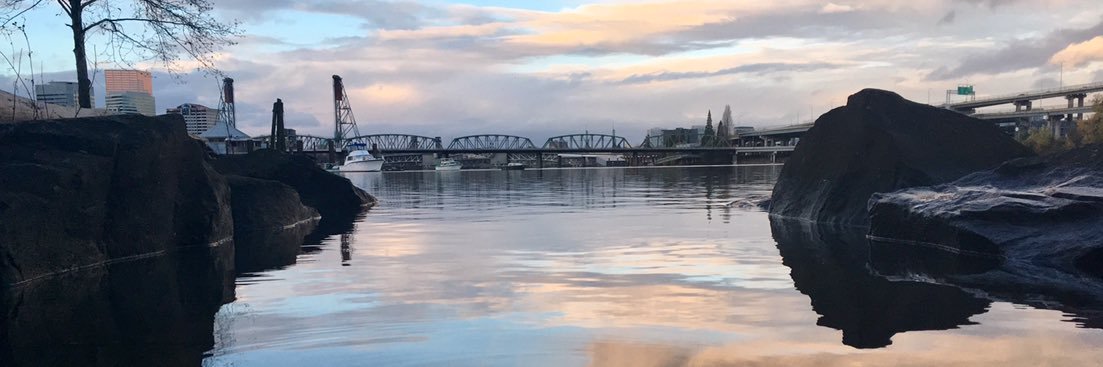Jensen_Perrick's profile banner image
