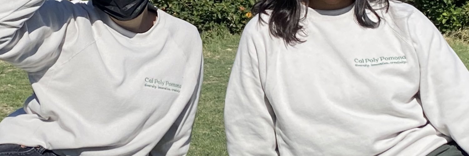 Apparelscapes banner