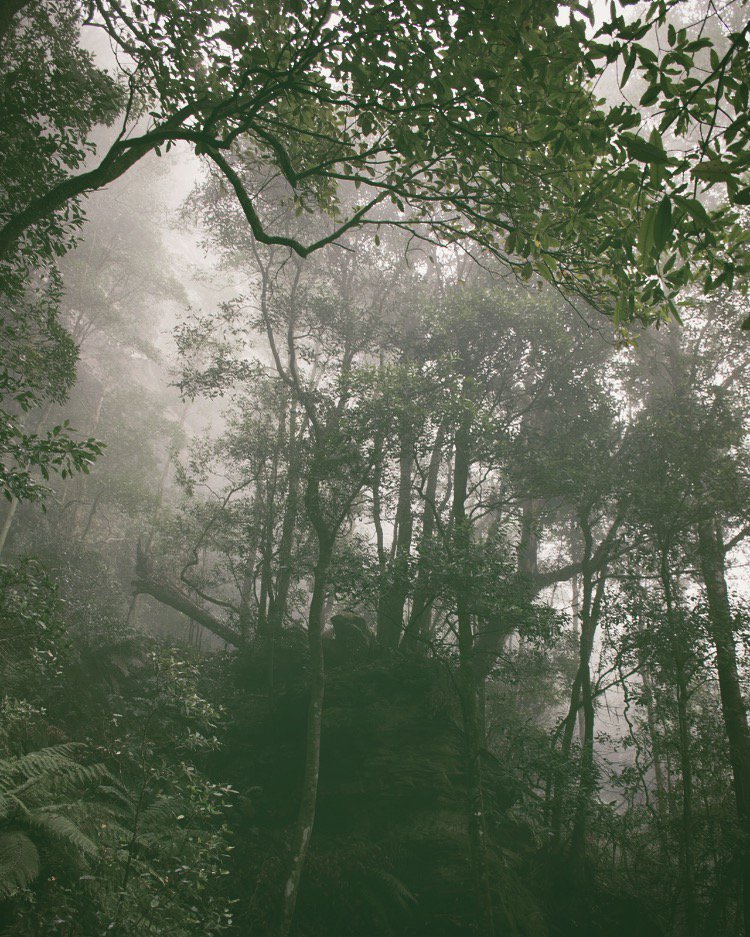 essenceof_'s profile banner image