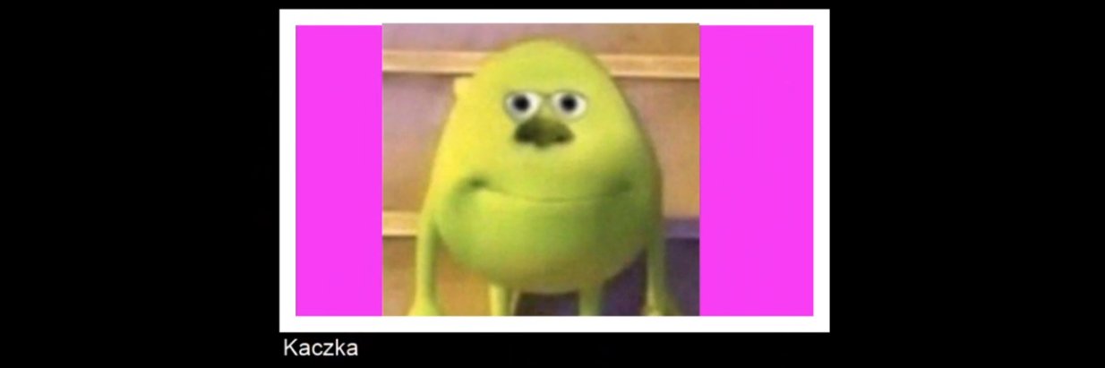 KacZka banner