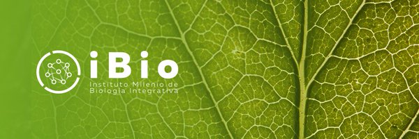 ibiochile Profile Banner