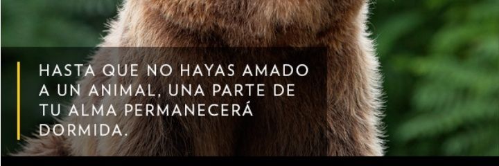 Fernando M. banner