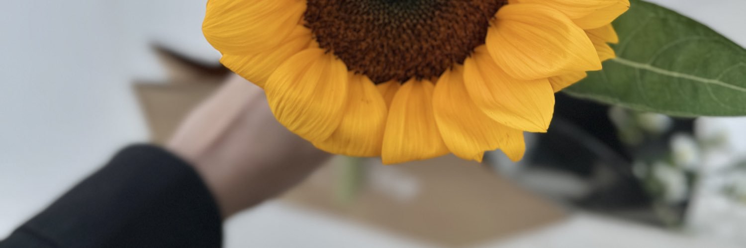 ᴡɪɴᴅʏᴄᴏʟᴅ banner