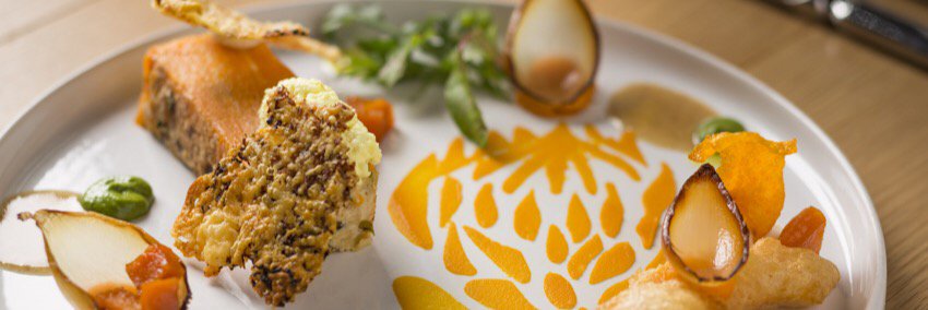 Michelle Theron banner