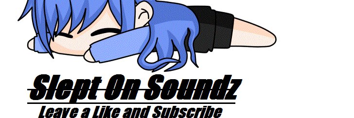 Slept On Soundz banner