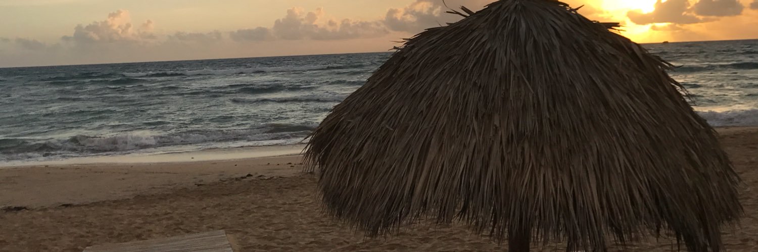 DeeRicci's profile banner image