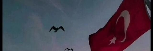 Murat taçkın banner