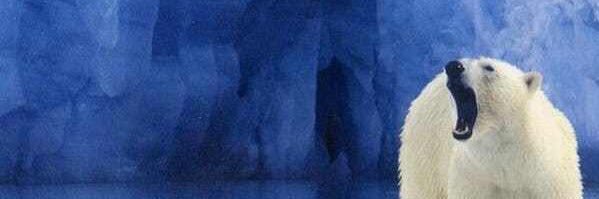 emilie_potts's profile banner image